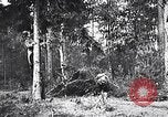 Image renforts militaires russes Dobrudja Roumanie, 1916, de la seconde 48 séquences d'archives historiques vidéo 65675028073