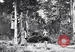 Image renforts militaires russes Dobrudja Roumanie, 1916, de la seconde 49 séquences d'archives historiques vidéo 65675028073