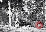 Image renforts militaires russes Dobrudja Roumanie, 1916, de la seconde 51 séquences d'archives historiques vidéo 65675028073