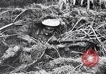 Image renforts militaires russes Dobrudja Roumanie, 1916, de la seconde 54 séquences d'archives historiques vidéo 65675028073