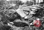 Image renforts militaires russes Dobrudja Roumanie, 1916, de la seconde 60 séquences d'archives historiques vidéo 65675028073
