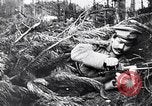 Image renforts militaires russes Dobrudja Roumanie, 1916, de la seconde 62 séquences d'archives historiques vidéo 65675028073