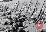 Standbild serbischen Regiment Die Balkan, 1916, aus Sekunde 19 historischem Filmmaterial Videoclip 65675028074