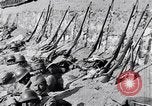 Standbild serbischen Regiment Die Balkan, 1916, aus Sekunde 20 historischem Filmmaterial Videoclip 65675028074