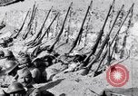 Standbild serbischen Regiment Die Balkan, 1916, aus Sekunde 21 historischem Filmmaterial Videoclip 65675028074