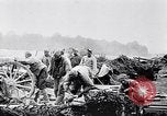 Standbild Batterie der Französischen 75 Feld Stückzahl Curlu Frankreich, 1915, aus Sekunde 31 historischem Filmmaterial Videoclip 65675028076
