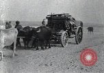 Image of Turkish soldiers World War 1 Turkey, 1918, second 6 stock footage video 65675028086