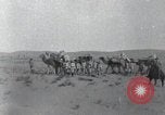 Image of Turkish soldiers World War 1 Turkey, 1918, second 36 stock footage video 65675028086