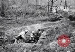 Immagine di Feriti soldati francesi che viene trattata Francia, 1918, secondo 23 filmato di repertorio 65675028096
