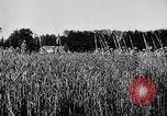Image of French army units on parade France, 1916, second 9 stock footage video 65675028099