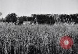 Image of French army units on parade France, 1916, second 10 stock footage video 65675028099