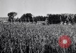 Image of French army units on parade France, 1916, second 12 stock footage video 65675028099