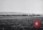 Image of French army units on parade France, 1916, second 14 stock footage video 65675028099