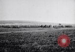 Image of French army units on parade France, 1916, second 15 stock footage video 65675028099
