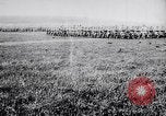Image of French army units on parade France, 1916, second 19 stock footage video 65675028099