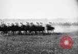Image of French army units on parade France, 1916, second 59 stock footage video 65675028099