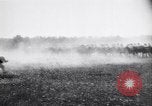 Image of French army units on parade France, 1916, second 61 stock footage video 65675028099