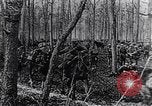 Image de la cavalerie britannique France, 1917, de la seconde 25 séquences d'archives historiques vidéo 65675028101