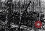 Image de la cavalerie britannique France, 1917, de la seconde 29 séquences d'archives historiques vidéo 65675028101