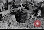 Standbild britische Soldaten Palästina Wüste, 1917, aus Sekunde 3 historischem Filmmaterial Videoclip 65675028109
