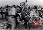 Standbild britische Soldaten Palästina Wüste, 1917, aus Sekunde 26 historischem Filmmaterial Videoclip 65675028109
