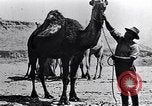 Standbild britische Soldaten Palästina Wüste, 1917, aus Sekunde 50 historischem Filmmaterial Videoclip 65675028109