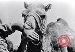 Standbild britische Soldaten Palästina Wüste, 1917, aus Sekunde 54 historischem Filmmaterial Videoclip 65675028109
