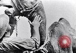 Standbild britische Soldaten Palästina Wüste, 1917, aus Sekunde 60 historischem Filmmaterial Videoclip 65675028109