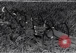 Image of French medics transporting a wounded on a litter France, 1916, second 35 stock footage video 65675028111