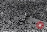 Image of French medics transporting a wounded on a litter France, 1916, second 36 stock footage video 65675028111