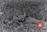 Image of French medics transporting a wounded on a litter France, 1916, second 37 stock footage video 65675028111