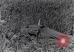 Image of French medics transporting a wounded on a litter France, 1916, second 38 stock footage video 65675028111