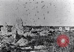 Image of wreckage in field Europe, 1918, second 36 stock footage video 65675028113