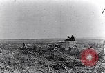 Image des ambulances de la Croix-Rouge l'Europe, 1918, de la seconde 44 séquences d'archives historiques vidéo 65675028115