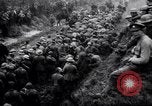 Image of German Colonel and his troops captured France, 1916, second 27 stock footage video 65675028131