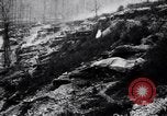 Image of Barbed wire placed by Germans in Ancre River marshes  France, 1916, second 20 stock footage video 65675028138