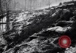 Image of Barbed wire placed by Germans in Ancre River marshes  France, 1916, second 23 stock footage video 65675028138