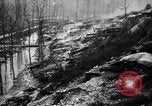 Image of Barbed wire placed by Germans in Ancre River marshes  France, 1916, second 29 stock footage video 65675028138