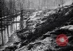 Image of Barbed wire placed by Germans in Ancre River marshes  France, 1916, second 30 stock footage video 65675028138