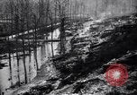 Image of Barbed wire placed by Germans in Ancre River marshes  France, 1916, second 35 stock footage video 65675028138