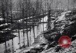 Image of Barbed wire placed by Germans in Ancre River marshes  France, 1916, second 39 stock footage video 65675028138