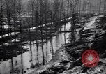 Image of Barbed wire placed by Germans in Ancre River marshes  France, 1916, second 40 stock footage video 65675028138