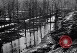 Image of Barbed wire placed by Germans in Ancre River marshes  France, 1916, second 41 stock footage video 65675028138