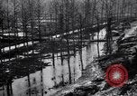Image of Barbed wire placed by Germans in Ancre River marshes  France, 1916, second 42 stock footage video 65675028138