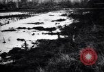 Image of Barbed wire placed by Germans in Ancre River marshes  France, 1916, second 43 stock footage video 65675028138
