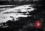 Image of Barbed wire placed by Germans in Ancre River marshes  France, 1916, second 44 stock footage video 65675028138