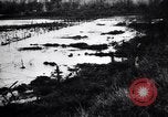 Image of Barbed wire placed by Germans in Ancre River marshes  France, 1916, second 45 stock footage video 65675028138