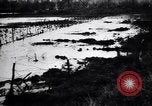 Image of Barbed wire placed by Germans in Ancre River marshes  France, 1916, second 47 stock footage video 65675028138