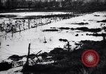 Image of Barbed wire placed by Germans in Ancre River marshes  France, 1916, second 51 stock footage video 65675028138