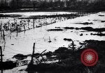 Image of Barbed wire placed by Germans in Ancre River marshes  France, 1916, second 52 stock footage video 65675028138
